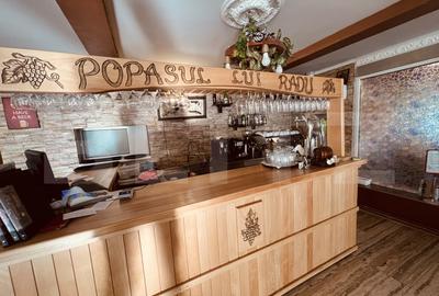Preluare afacere - Complex Restaurant Popasul Lui Radu, Bradesti - 14