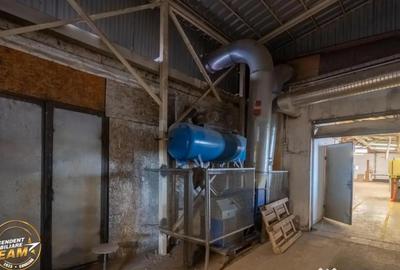 Spațiu comercial, de 1,341 mp, în Valea Crișului - 10