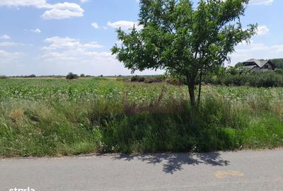 Teren de 16500 mp, în Vărăști