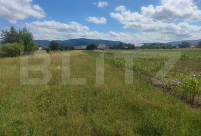 Teren intravilan la sosea, 6400 mp, Vicov de Sus - 2