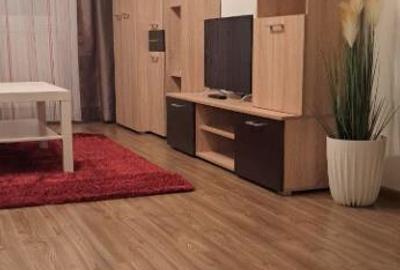 Apartament cu 2 camere in zona Gruia - 2