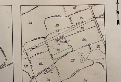 Teren agricol extravilan de 50000 mp, în Torontalului - 2