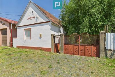 Casa de vacan?a mobilata ?i utilata la Mini? - 22