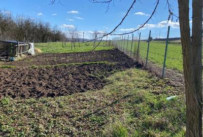 Casă cu 2 camere în Mociu - 2