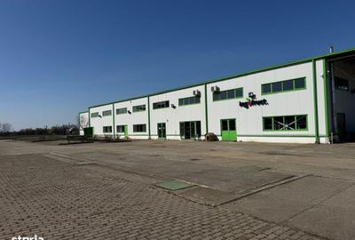 Spațiu comercial, de 3,650 mp, în Dumbrăvița - 2