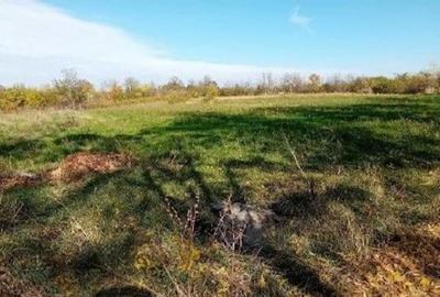 Teren Ungheni, ID: R2832820 - 1