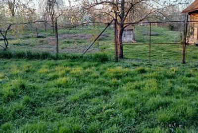 Casa si gradina de vanzare in Hitias la strada principala - 5