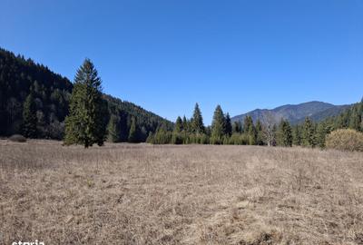 Spațiu comercial, în Brateș - 2