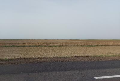 Teren agricol 50000m2 Silistea soseaua Focsani - 50000MP - 1