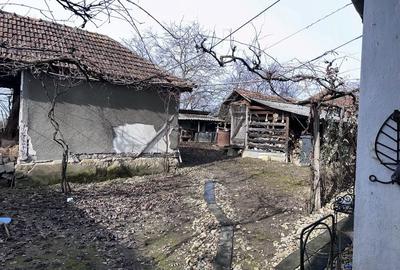 Casă cu 3 camere în Valea Mare de Codru - 6