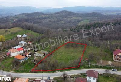 Teren de 2674 mp, în Cepari - 8