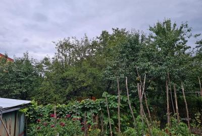 Proprietate individuala-3 apartamente,spatiu comercial,garaje,gradina,curte - 11