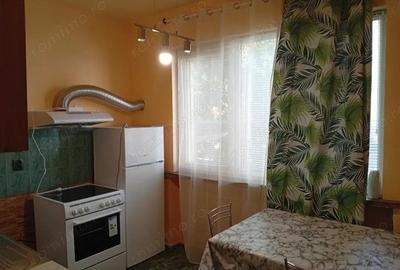 Garsonieră în Șagului