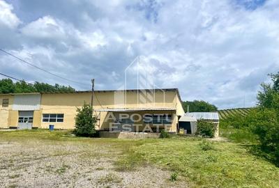 Spatii productie si depozitare, zona Sebis - Prunisor-Carand - 2