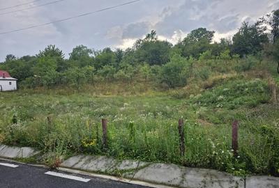 Teren în Sălătrucel - 6