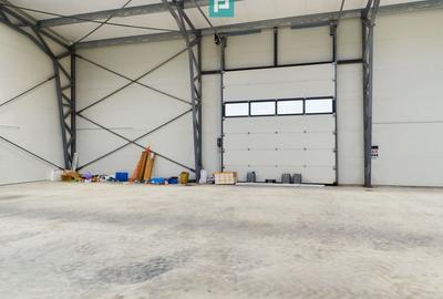 Hală nouă în zona industrială Sânandrei - 3