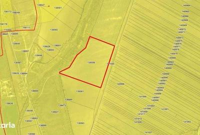 Teren de 42500 mp, în Smârdan
