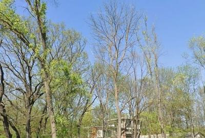 Teren intravilan 507 mp | Valu lui Traian | P+4E | Forest M - 3