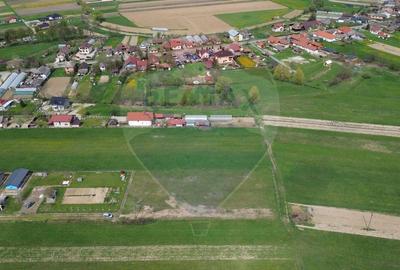 Teren Construcții intravilan de 1343 mp, în Cătălina - 8