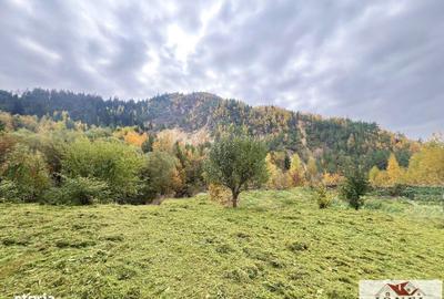 Casă cu 4 camere în Bălmoșești - 1
