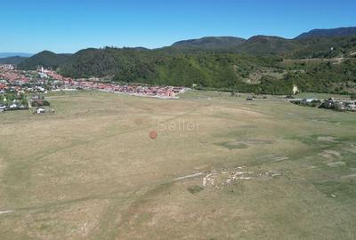 Teren extravilan Rasnov - 7