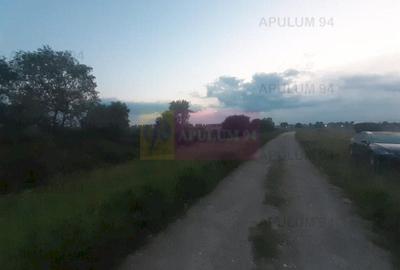 Teren aproape de Bucuresti langa padure între case - 9