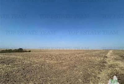 Teren de 4200 mp, în Șimnicu de Sus