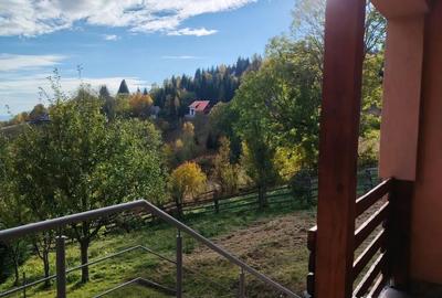 Casă cu 3 camere în Muntele Băișorii - 3
