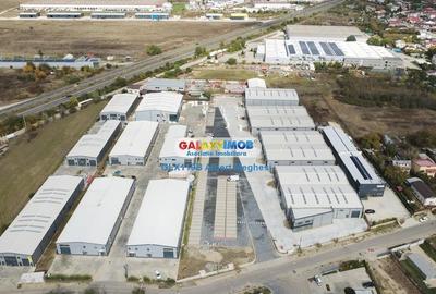 Hale Industriale Centura Rudeni Chitila Centura 415 mp/978 mp - 34