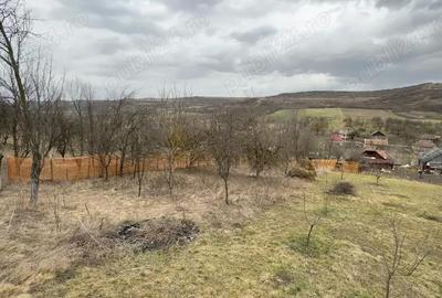 Teren de 1064 mp, în Bârlea - 3