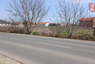 Teren Construcții intravilan de 798 mp, în Peciu Nou - 4