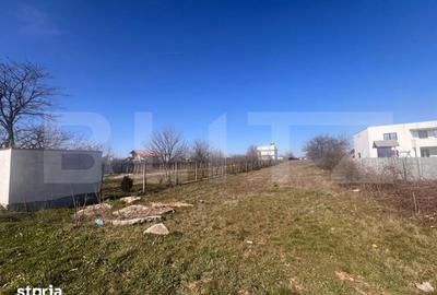 Teren de 3000 mp, în Coșoveni - 2