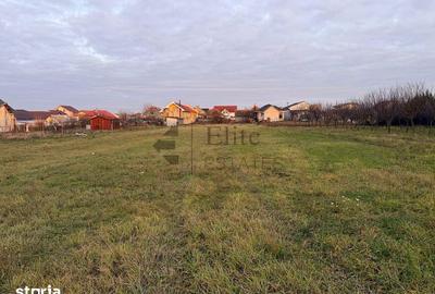 Teren de 1150 mp, în Sânmartin - 6