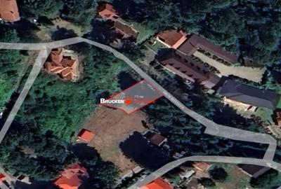 Teren în Pădurea Neagră - 4