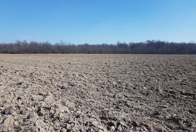 Teren Construcții intravilan de 30000 mp, în Răcari - 1