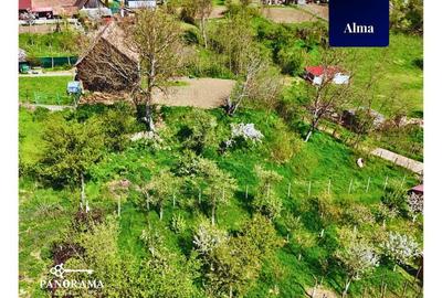 Teren de 725 mp, în Alma - 4