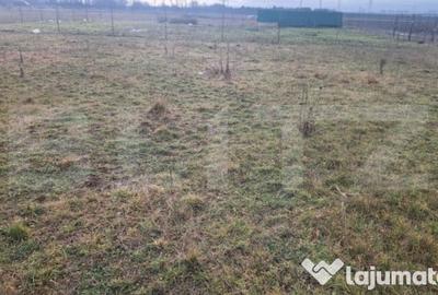 Teren de 500 mp, în Sânpetru - 3