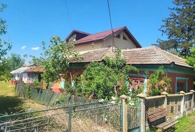 Casă în Băneasa - 2