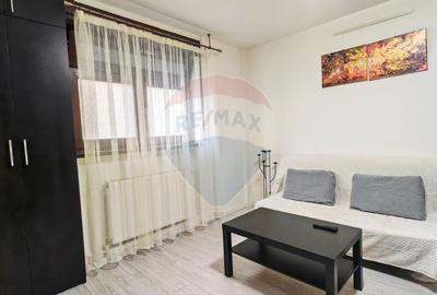 Apartament cu 2 camere semidecomandat în Cișmigiu - 9