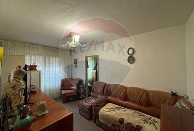 Apartament cu 2 camere semidecomandat în Valea Rosie - 2
