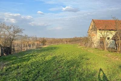 Teren Construcții intravilan de 1906 mp, în Henig - 1