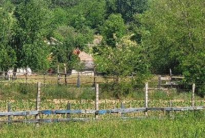 Teren extravilan arabil Tisau, ID: R2590475 Teren extravilan arabil Tisau, ID: R2590475 - 2