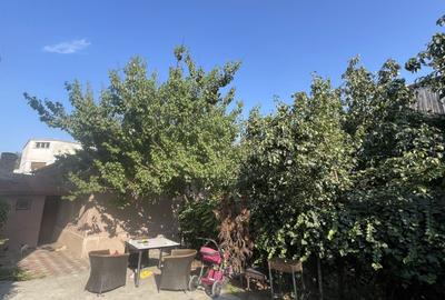 Casa + Anexa | Traian | Pache | Popa Nan | 400 mp- 262 curte - 10