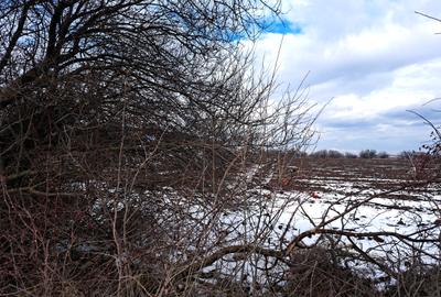 TEREN SNAGOV LANGA ARTIST THE BARN - 4