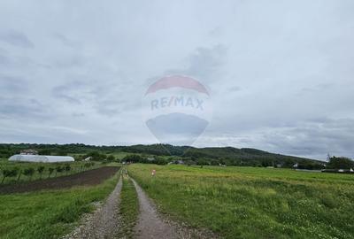 Teren Construcții intravilan de 1495 mp, în Dobreni - 1