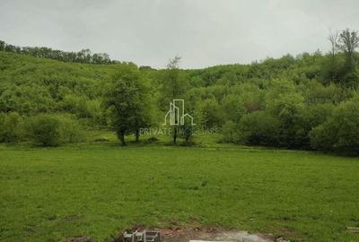 Teren de 20 mp, în Daneș - 8