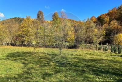 Teren de vanzare Cuiejdel 1350 mp Teren de vanzare Cuiejdel 1350 mp - 13