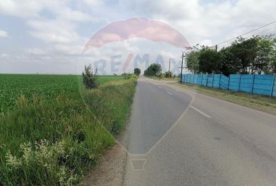 Teren Construcții intravilan de 10000 mp, în Est - 4