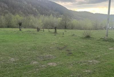Spațiu comercial, în Dragoslavele - 3