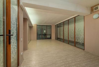 Spatiu comercial  424 mp  Oportunitati multiple - Baneasa Jandarmeriei - 3